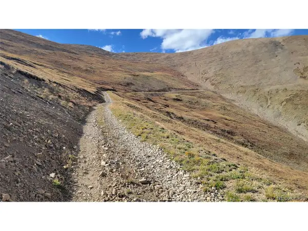 17664 Last Rose, Barry Lyndon, Rory Omore - 66.66%, Alma, CO 80420