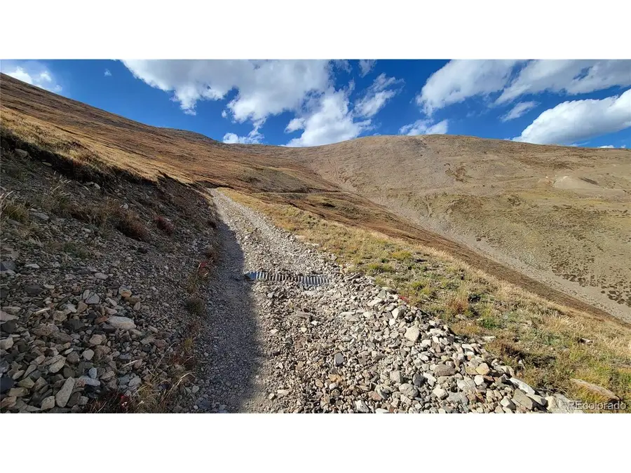 17664 Last Rose, Barry Lyndon, Rory Omore - 66.66%, Alma, CO 80420 - #2