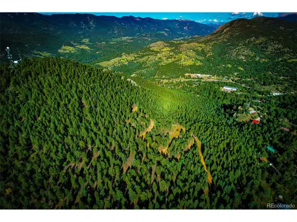 815 Burland Dr, Bailey, CO 80421