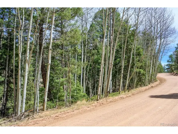 2763 N Mountain Estates Rd, Florissant, CO 80816