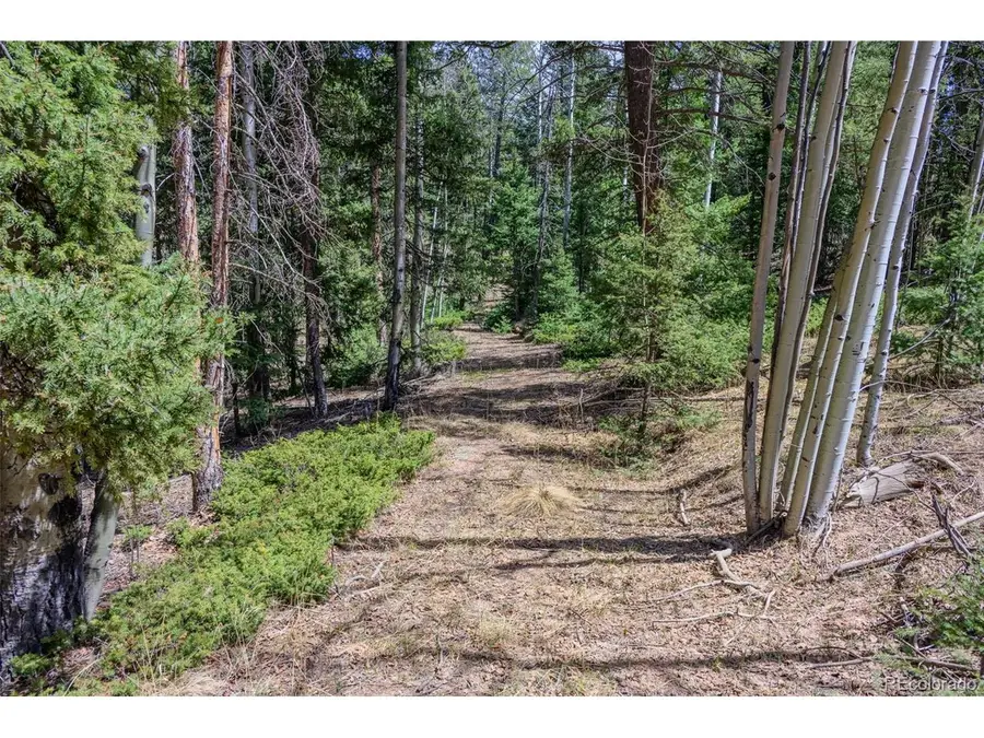 2763 N Mountain Estates Rd, Florissant, CO 80816 - #2