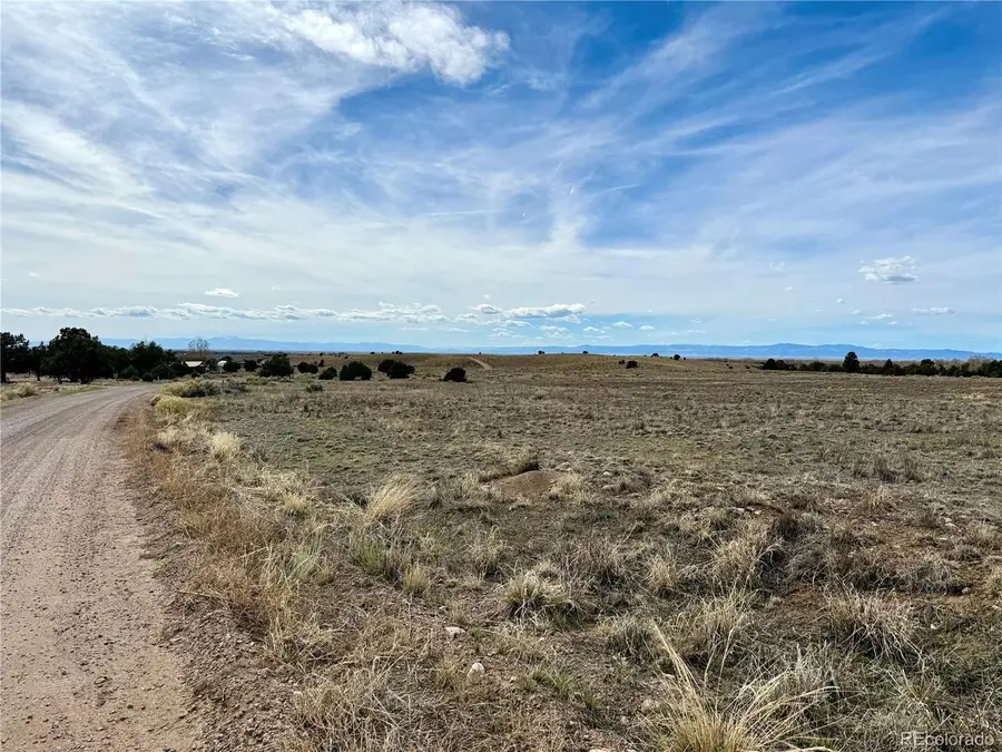 915 Brook Trout Rd, Crestone, CO 81131 - #3