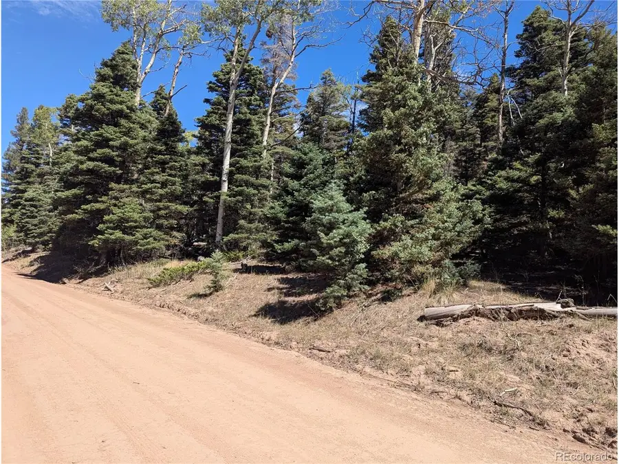 2860 Wendt Ln, Fort Garland, CO 81133 - #2