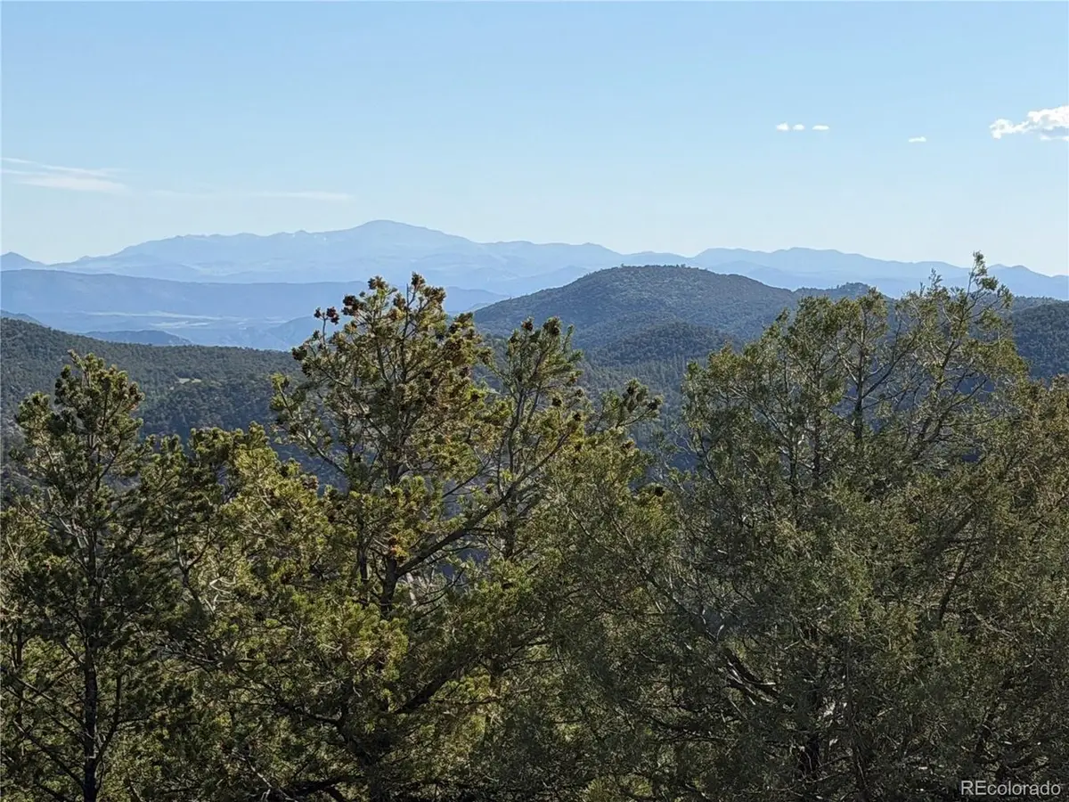 20 Molly Ln, Cotopaxi, CO 81223 - #1