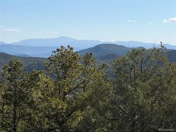 20 Molly Ln, Cotopaxi, CO 81223