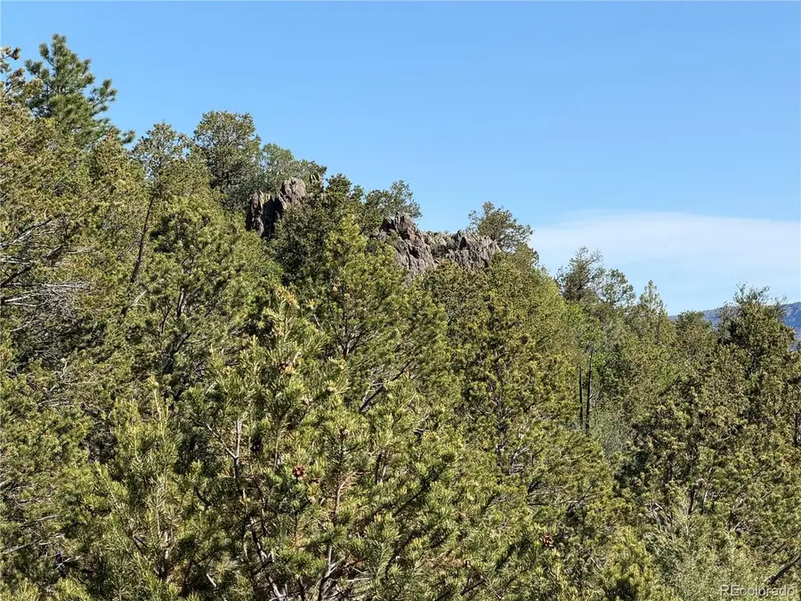 20 Molly Ln, Cotopaxi, CO 81223 - #3