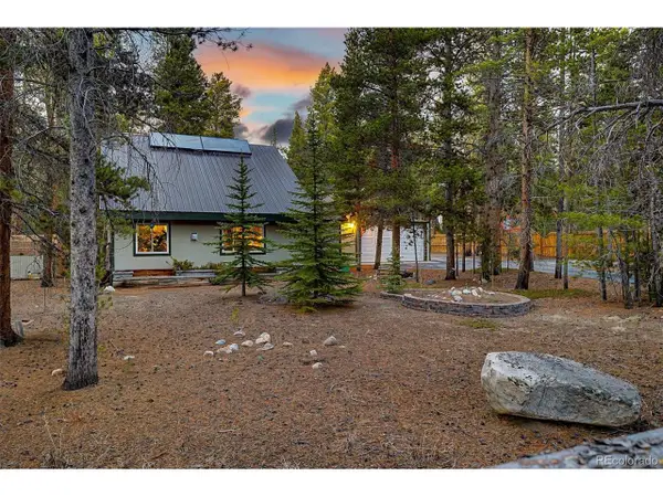 55 Rafferty Dr, Leadville, CO 80461