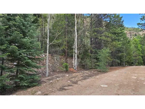 6474 Malcolm Rd, San Luis, CO 81152