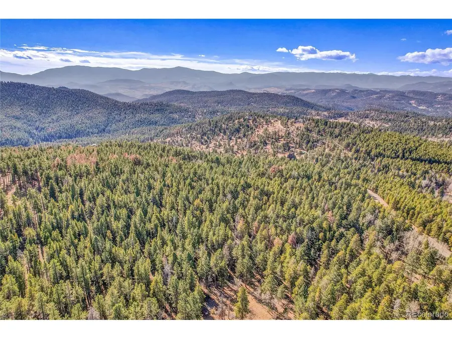 27551 Molly Dr, Conifer, CO 80433 - #2