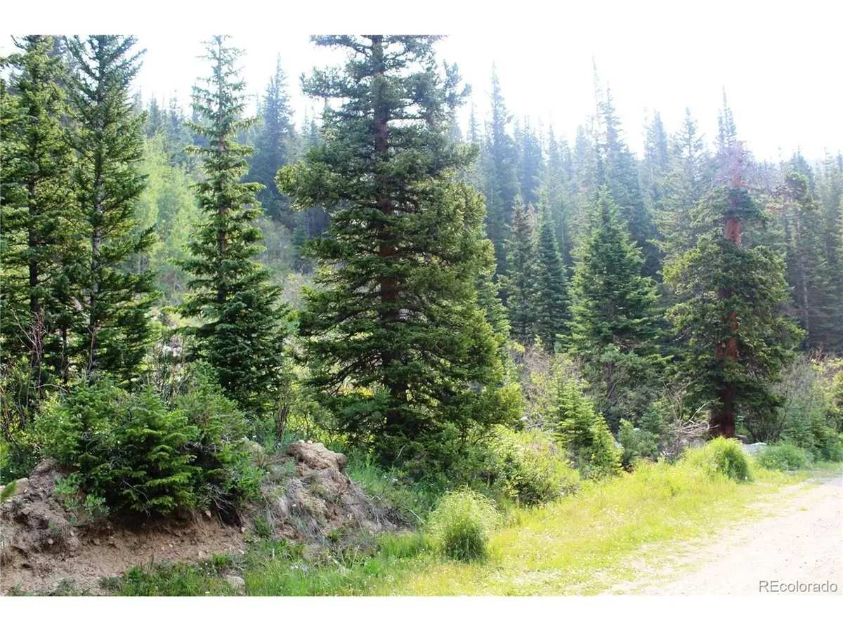 1 Miners Rd, Saint Marys, CO 80461 - #1