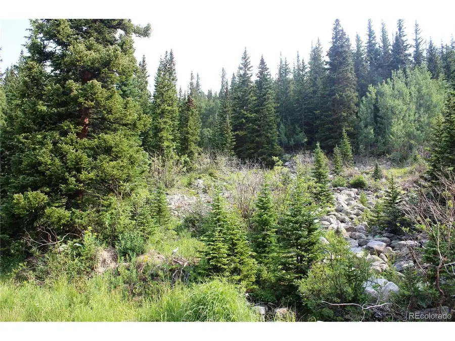1 Miners Rd, Saint Marys, CO 80461 - #3