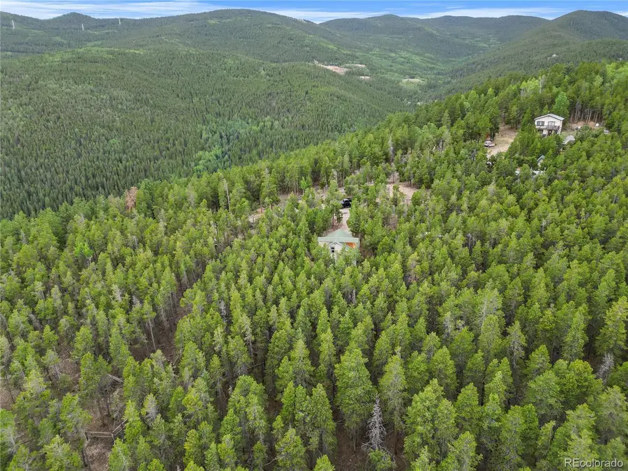 Address Withheld By Seller, Idaho Springs, CO 80452 - Image #3