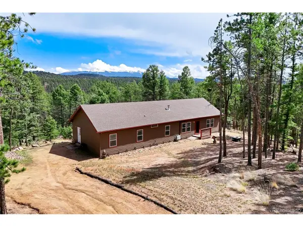 858 Fossil Creek Rd, Florissant, CO 80816