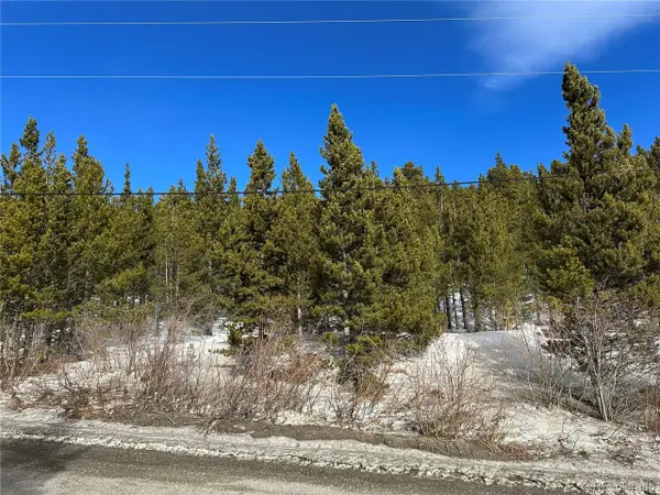 691 Alice Rd, Idaho Springs, CO 80452