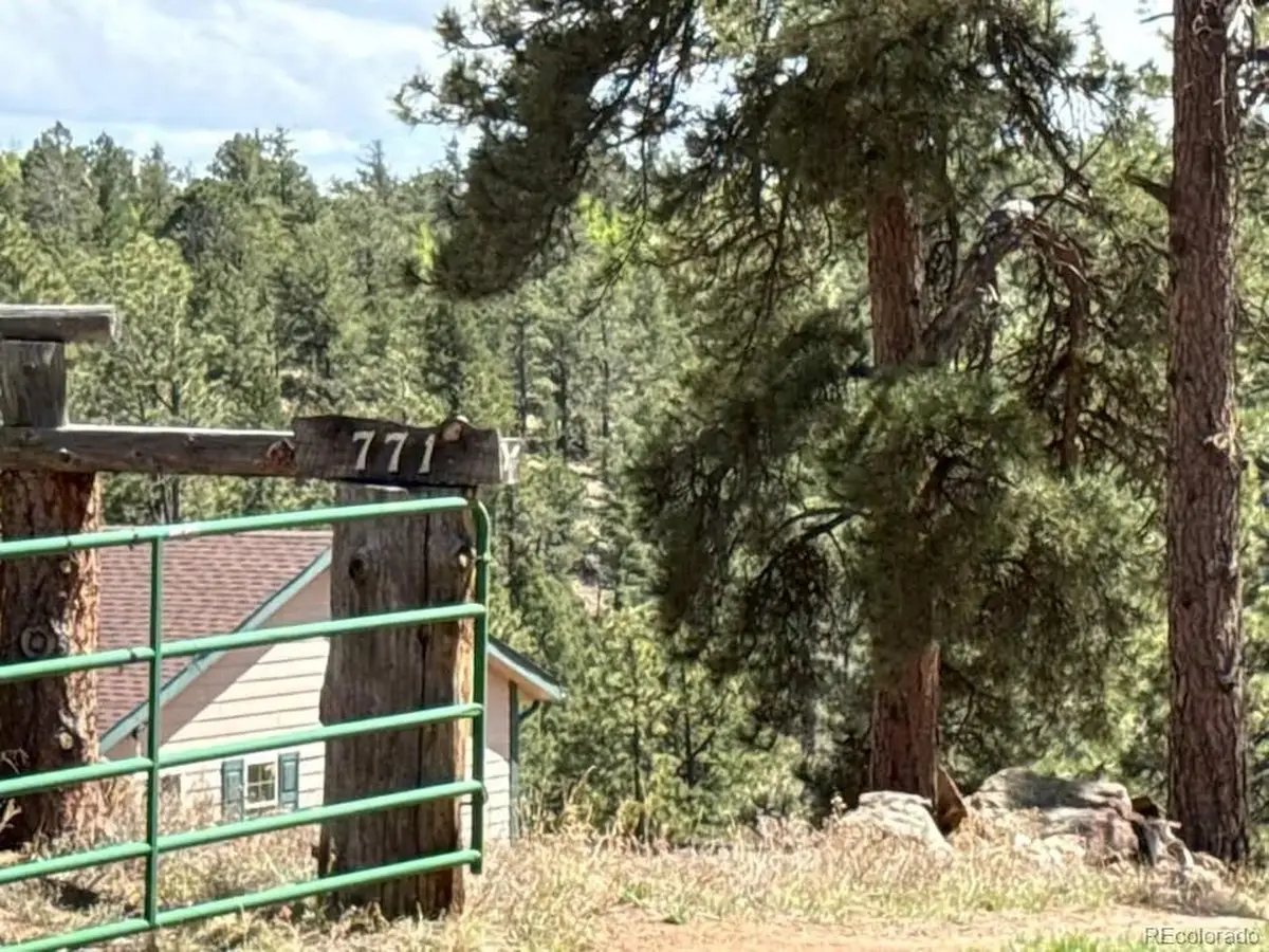 771 Moffat Dr, Cripple Creek, CO 80813 - #1
