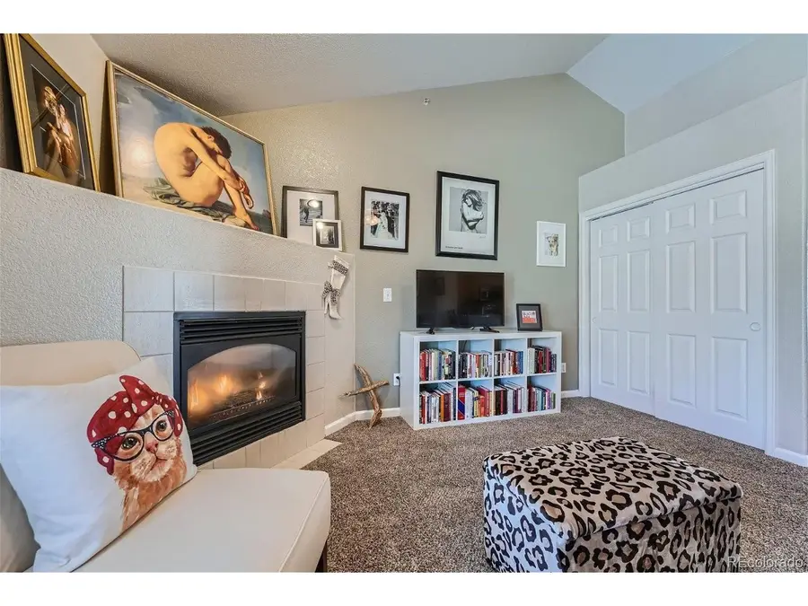 18084 Becket Dr, Parker, CO 80134 - #2