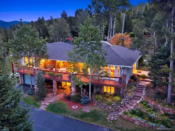 509 Norton Dr, Black Hawk, CO 80422