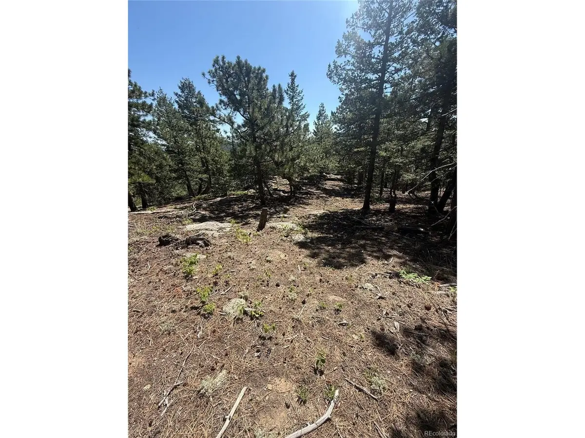 11548 Overlook Dr, Golden, CO 80403 - #1