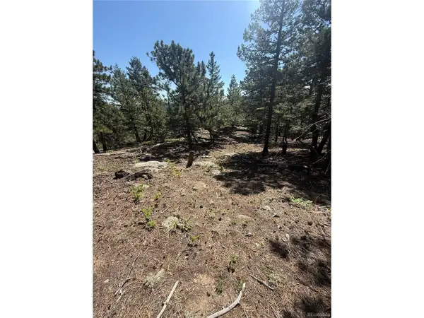 11548 Overlook Dr, Golden, CO 80403