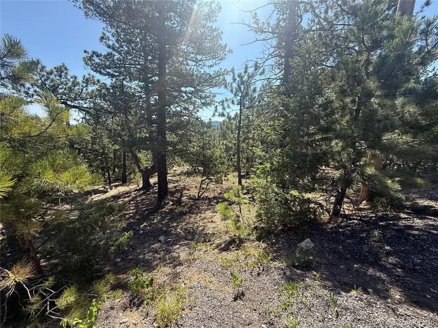 11548 Overlook Dr, Golden, CO 80403 - #2