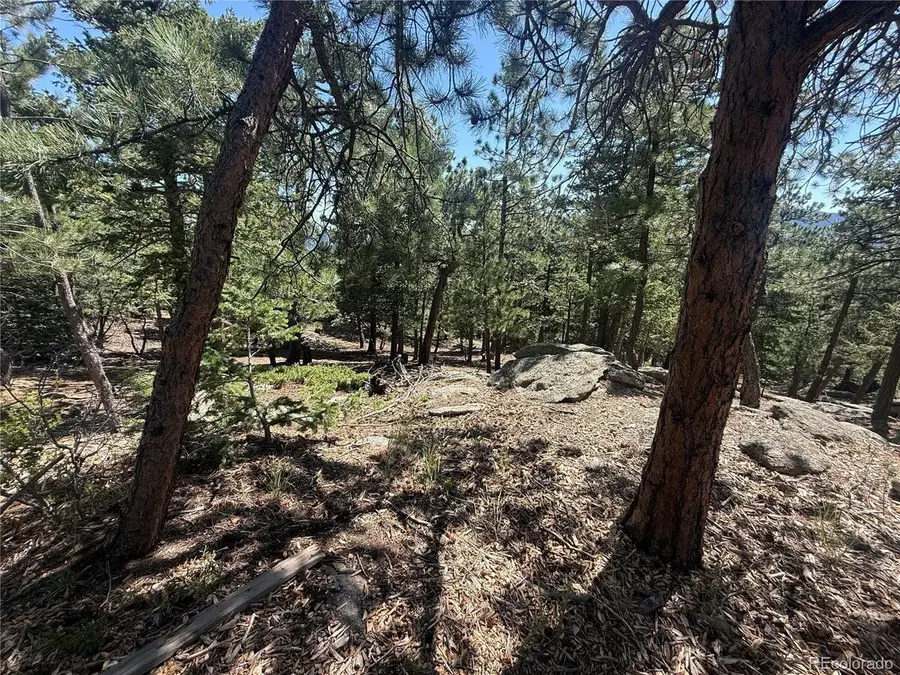11548 Overlook Dr, Golden, CO 80403 - #3