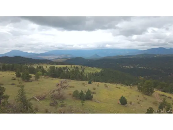 270 Silver Springs Rd, Bailey, CO 80421