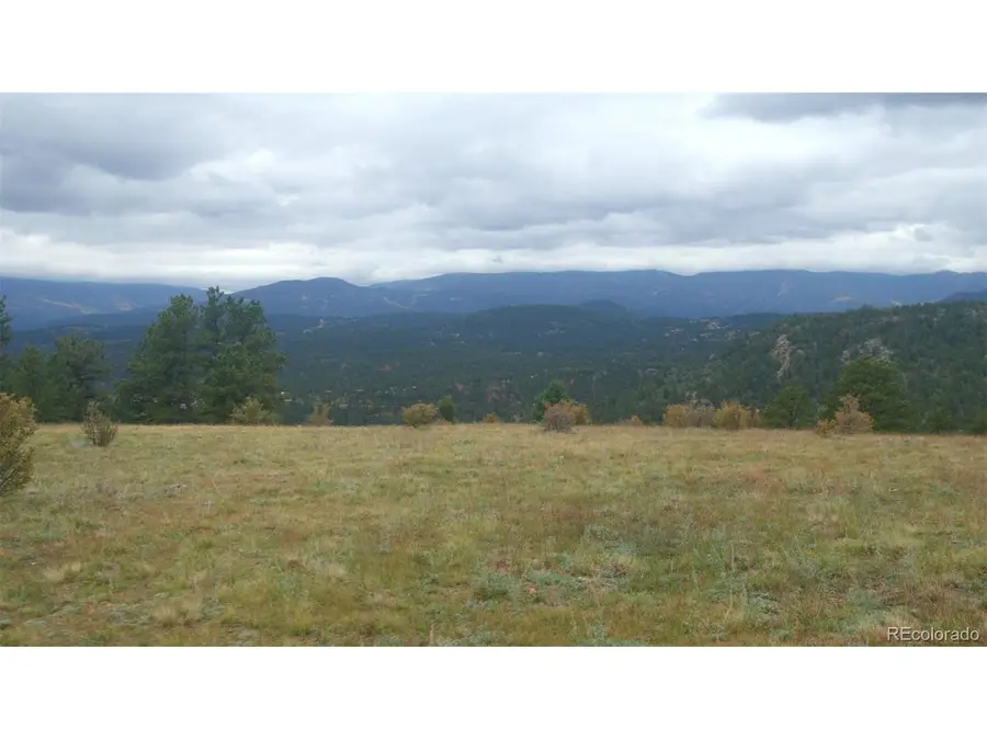 270 Silver Springs Rd, Bailey, CO 80421 - #2