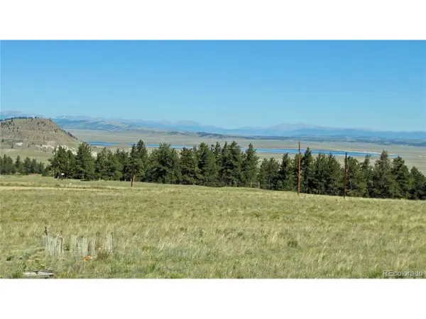 1198 Wagon Wheel Rd, Hartsel, CO 80449