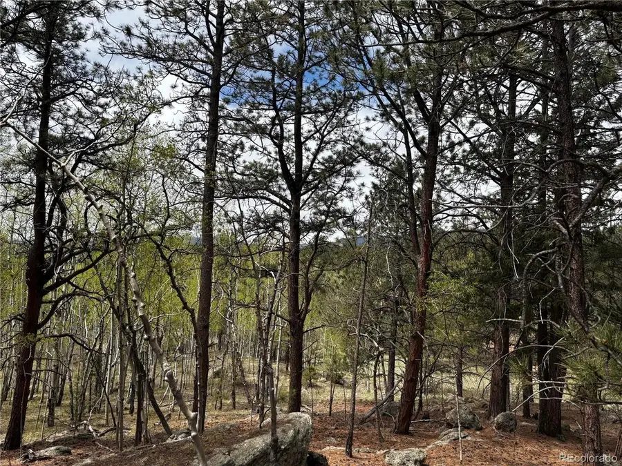 210 Crescent Dr, Florissant, CO 80816 - #2