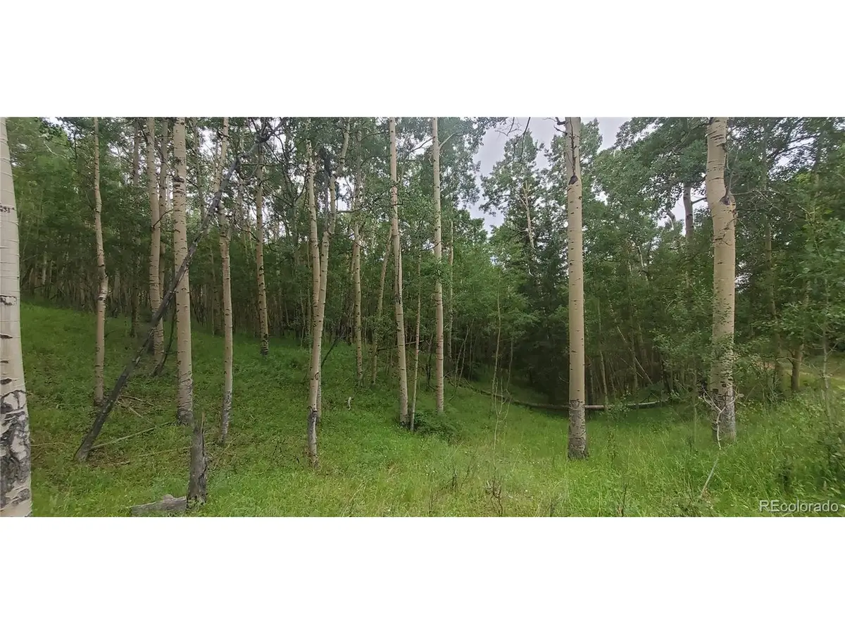 Address Withheld By Seller, Fort Garland, CO 81133 - #1