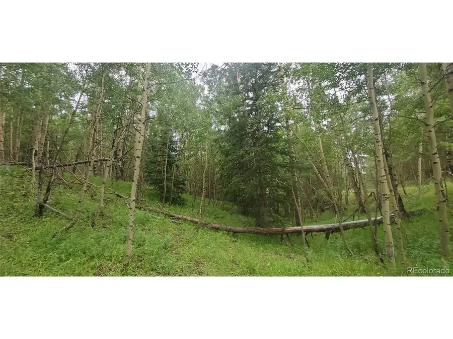 Address Withheld By Seller, Fort Garland, CO 81133 - #2