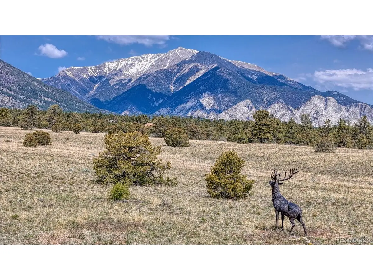 Dry Gulch Road, Nathrop, CO 81236 - #1