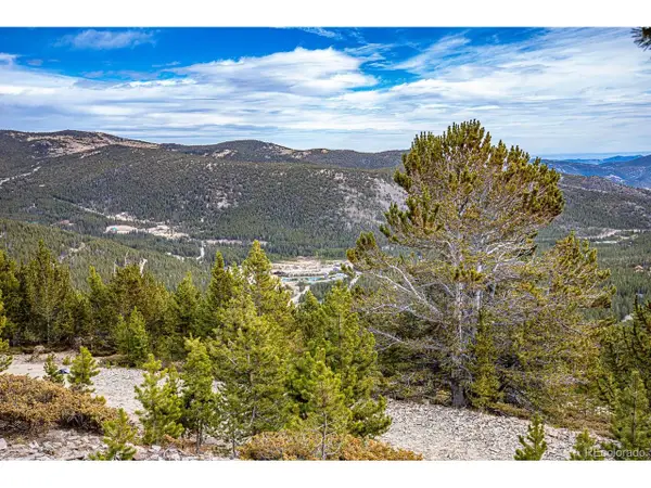 530 Hilltop Rd, Idaho Springs, CO 80452