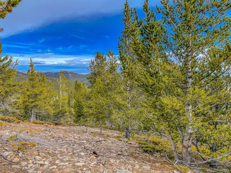 530 Hilltop Rd, Idaho Springs, CO 80452 - #2