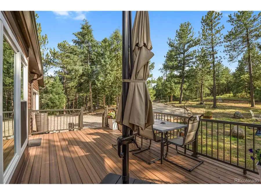 20065 Spring Creek Rd, Buffalo Creek, CO 80425 - #2