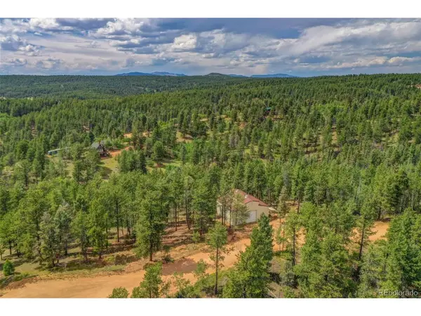 449 Woody Creek Rd, Florissant, CO 80816