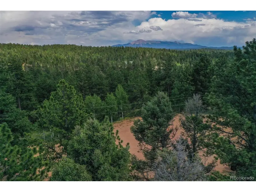 449 Woody Creek Rd, Florissant, CO 80816 - #3