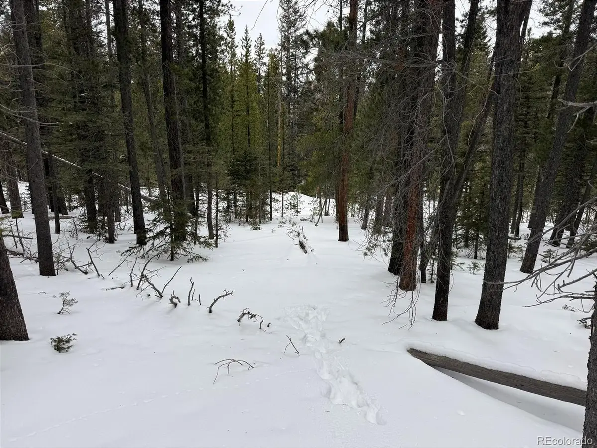 2806 Moir Dr, Fort Garland, CO 81133 - #1