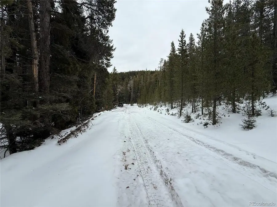 2806 Moir Dr, Fort Garland, CO 81133 - #3