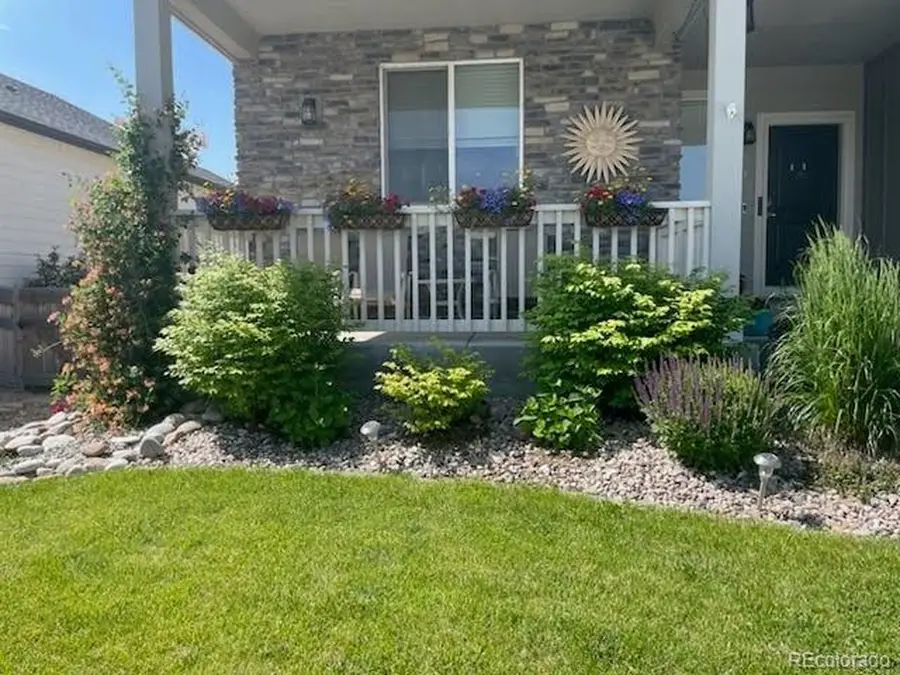 265 Hillspire Dr, Windsor, CO 80550 - Image #3