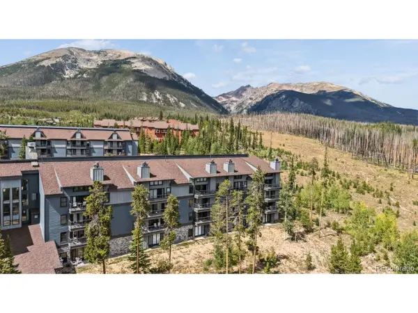 89310 Ryan Gulch Rd #201, Silverthorne, CO 80498