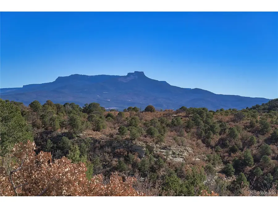14633 Rancho Verde Rd, Trinidad, CO 81082 - #2