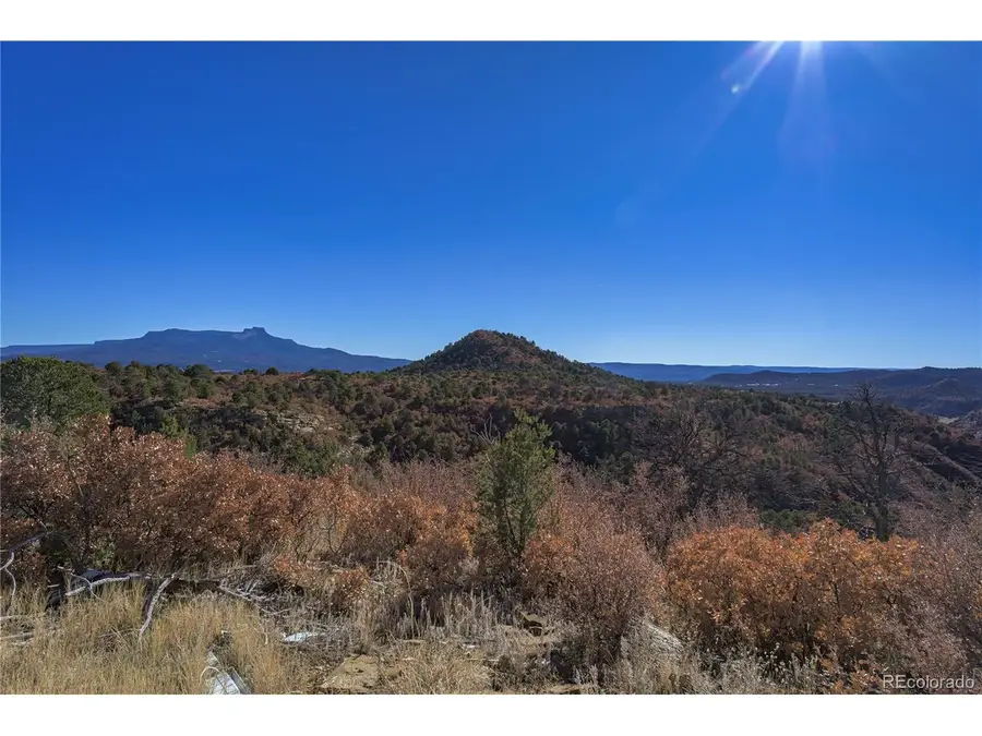 14633 Rancho Verde Rd, Trinidad, CO 81082 - #3