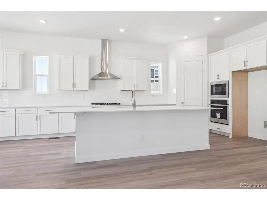 1645 Green Fern Pt, Castle Rock, CO 80104 - #2