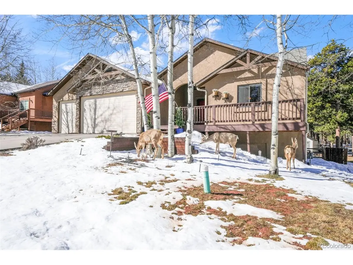 1116 Ptarmigan Dr, Woodland Park, CO 80863 - #1