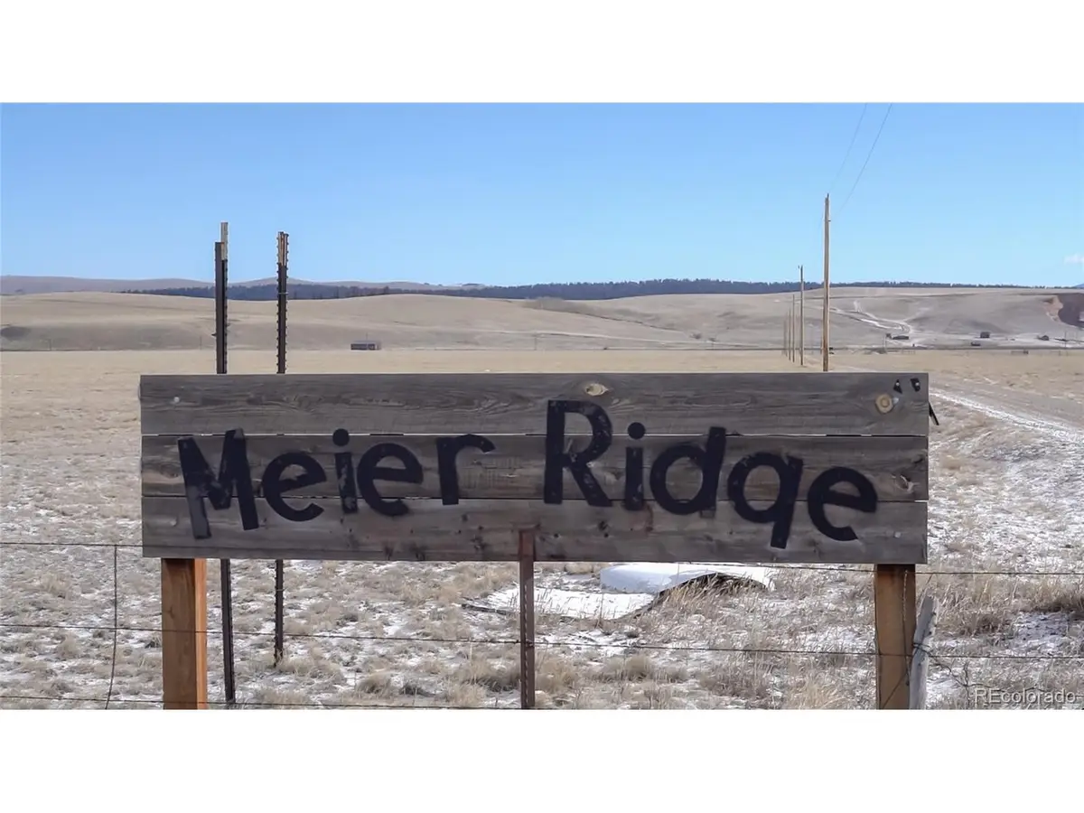 3164 Meier Ridge Trl, Fairplay, CO 80440 - #1