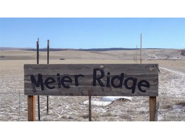 3164 Meier Ridge Trl, Fairplay, CO 80440