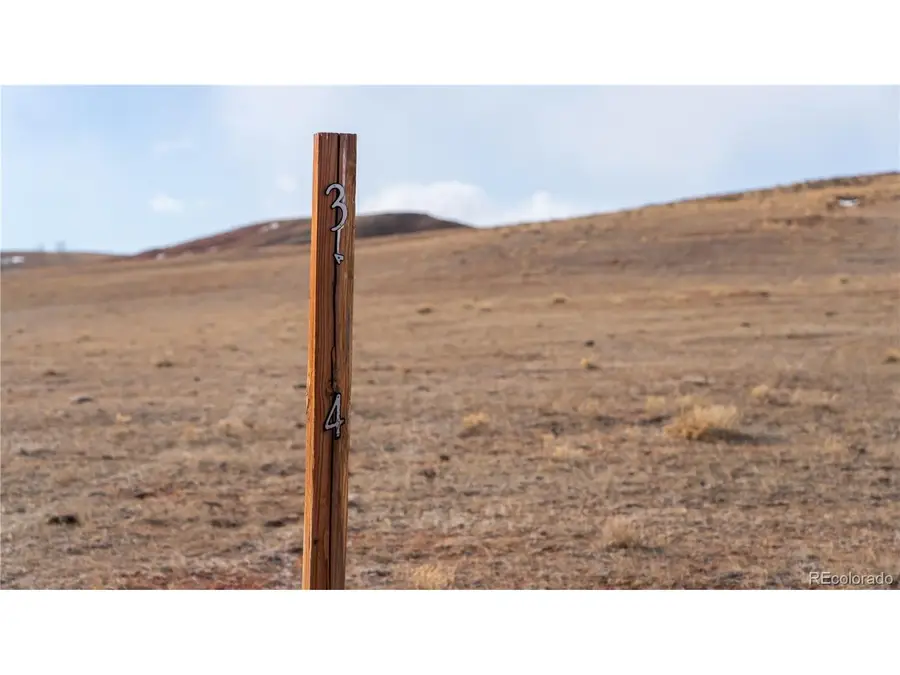 3164 Meier Ridge Trl, Fairplay, CO 80440 - #3