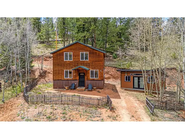 325 Willow Rd, Divide, CO 80814