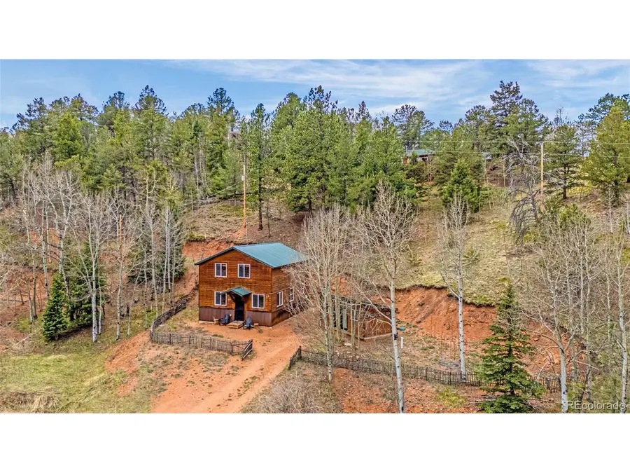 325 Willow Rd, Divide, CO 80814 - Image #3